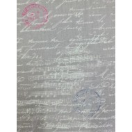 Michael Miller Fabrics- CX9223- GREY-D- Travel notes